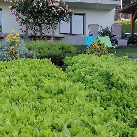 Apartma Na Ravnicah Cerkno Dış mekan fotoğraf