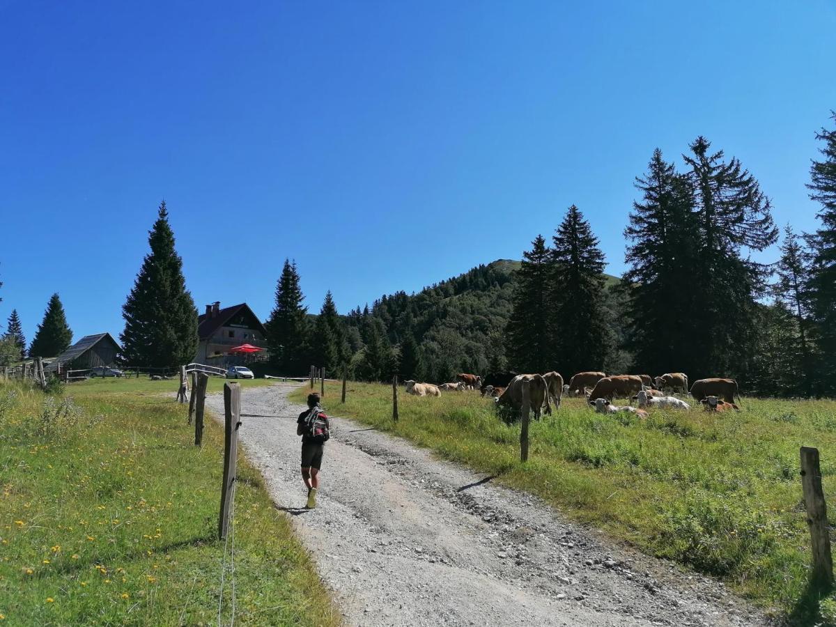 Apartma Na Ravnicah Cerkno Dış mekan fotoğraf