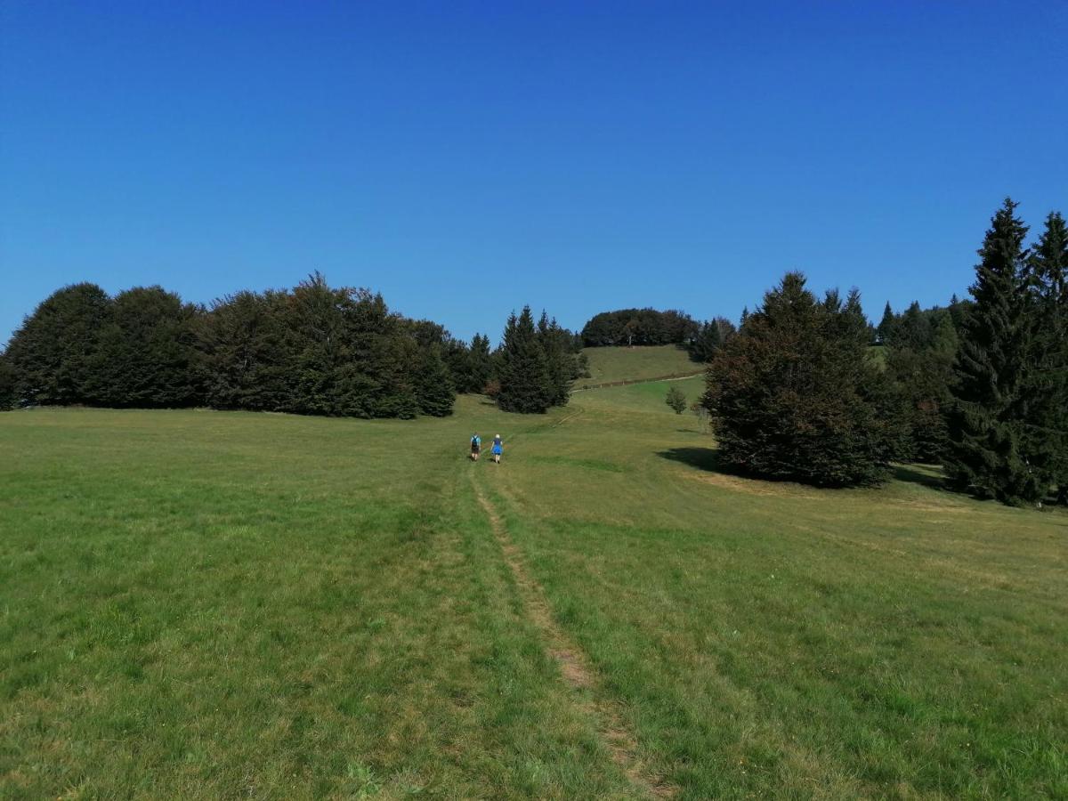 Apartma Na Ravnicah Cerkno Dış mekan fotoğraf