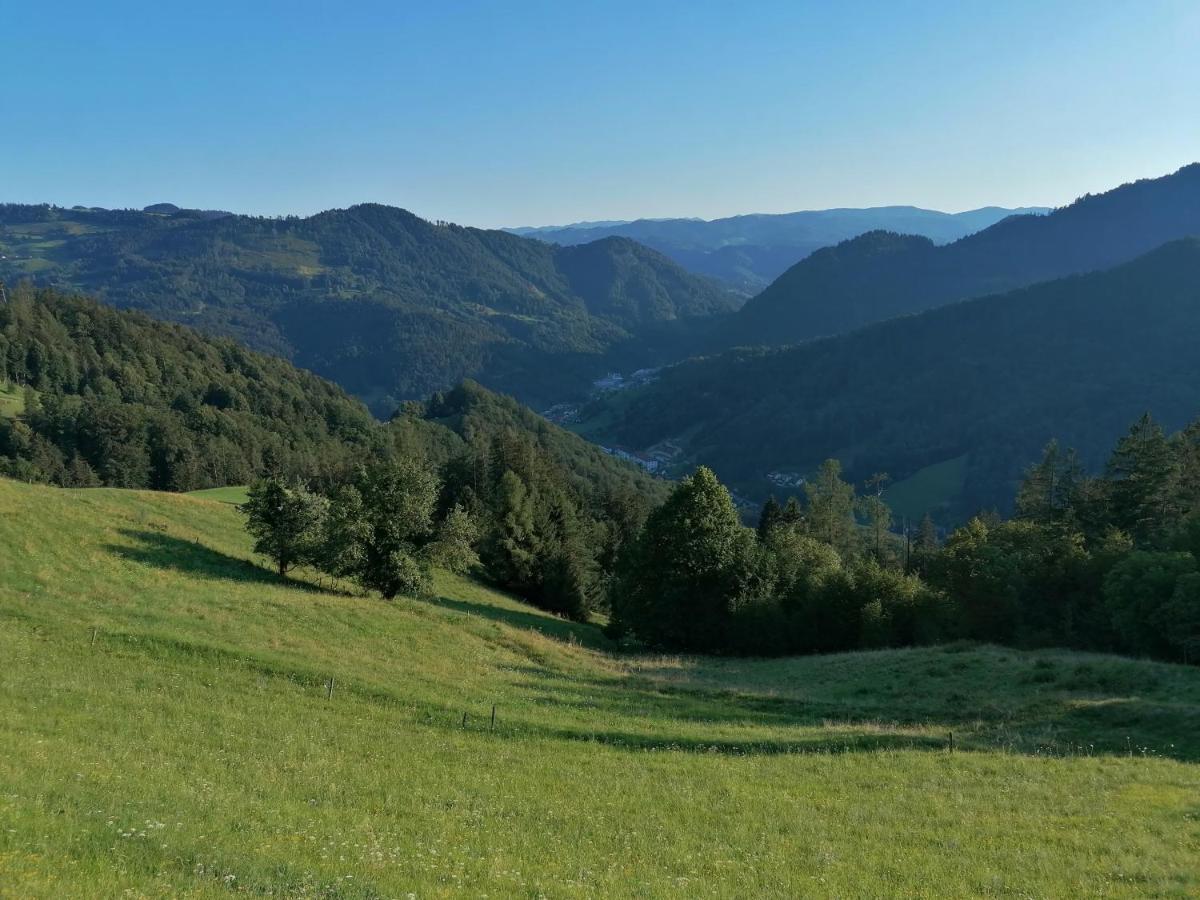 Apartma Na Ravnicah Cerkno Dış mekan fotoğraf