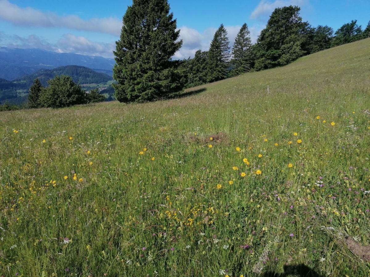Apartma Na Ravnicah Cerkno Dış mekan fotoğraf