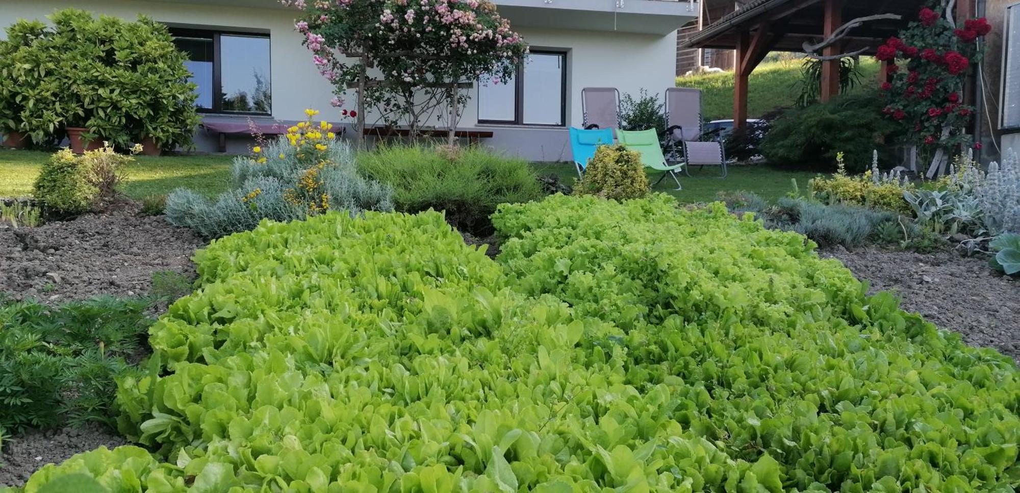 Apartma Na Ravnicah Cerkno Dış mekan fotoğraf