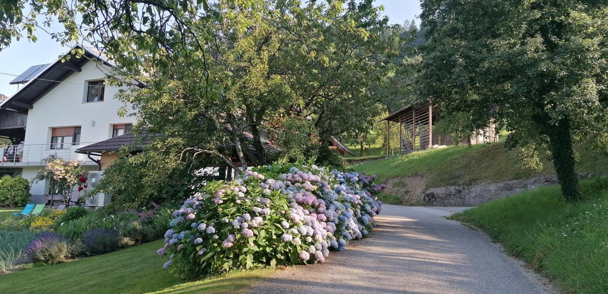 Apartma Na Ravnicah Cerkno Dış mekan fotoğraf