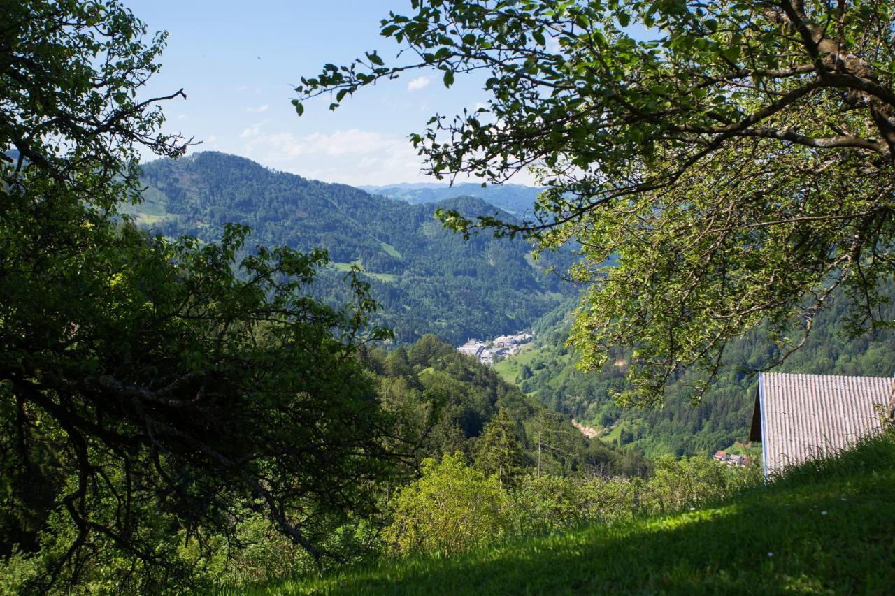Apartma Na Ravnicah Cerkno Dış mekan fotoğraf